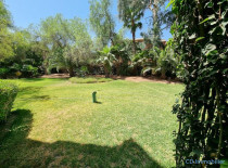 Appartement 2 chambres Palmeraie