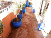 Appartement 2 chambres axe Amelkis