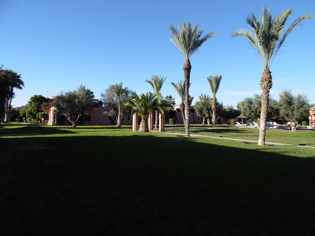 Villa 3 chambres Palmeraie