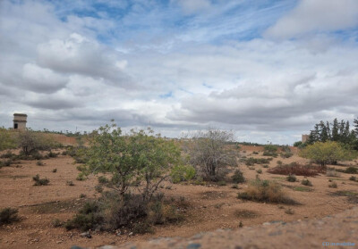 Terrain titré 1 Hectare Palmeraie