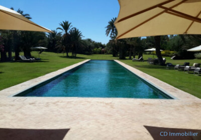 Villa 7 chambres Palmeraie