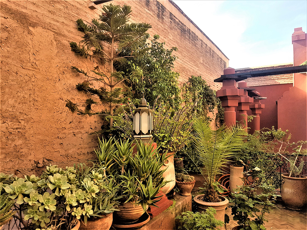 Riad 4 chambres Médina