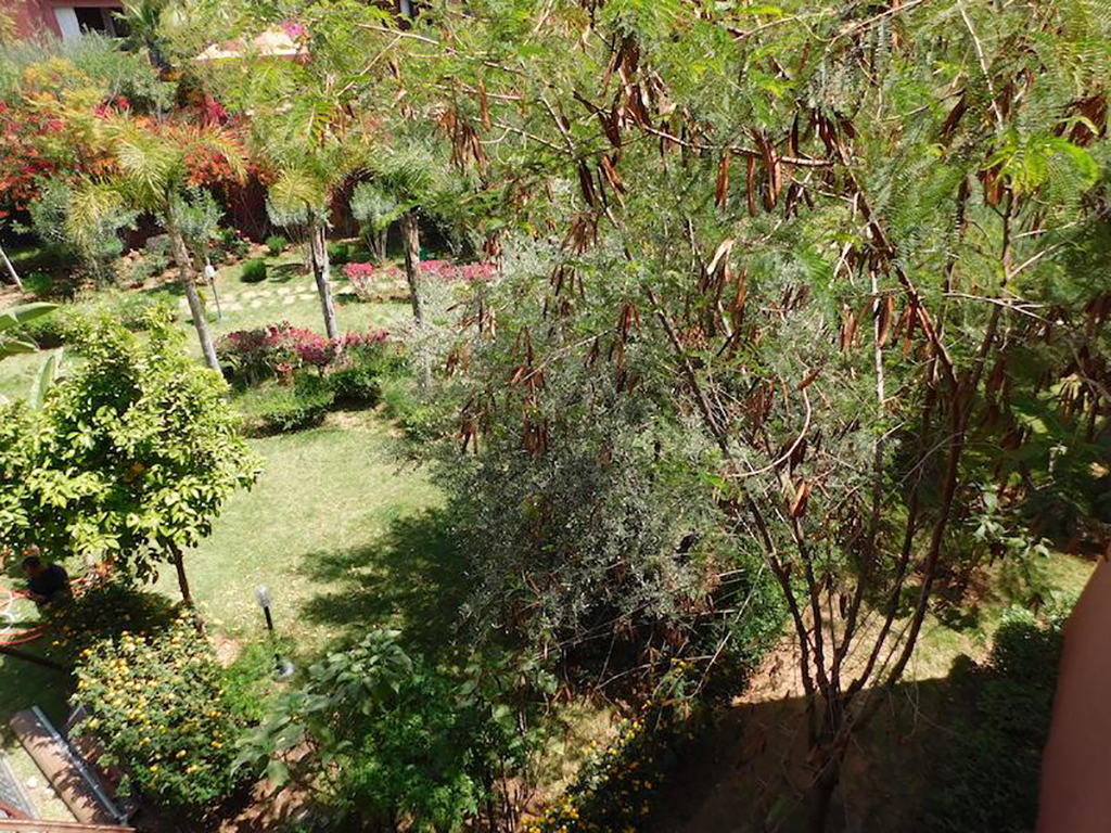 Appartement 1 chambre Agdal