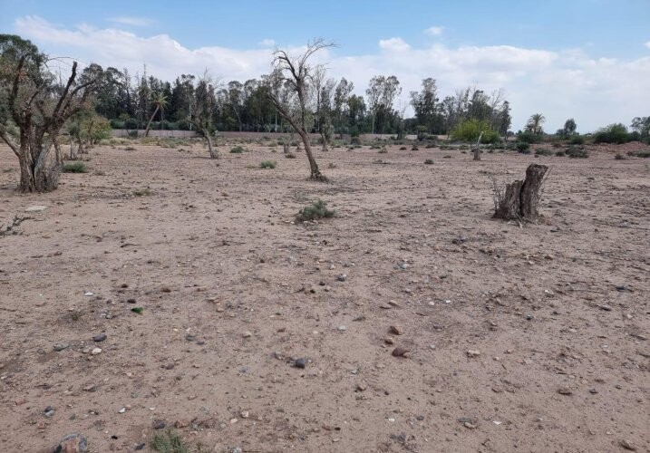 Terrains titrés au cœur des 3 golfs-1