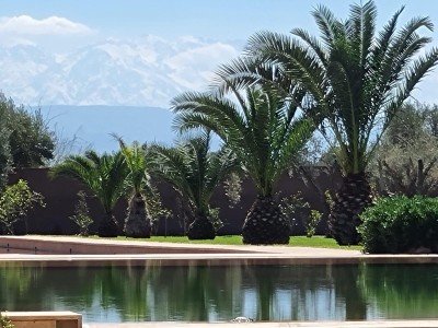 Palais d'exception sur 2 hectares