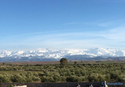 2 Hectares titrés axe Amizmiz