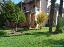 Appartement 2 chambres Palmeraie