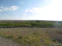 Terrain titré axe Assoufid