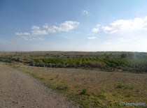 Terrain titré axe Assoufid-1