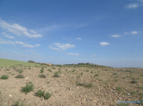 Terrain titré axe Assoufid-2