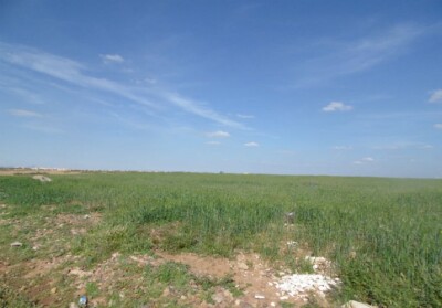 Terrain titré axe Al Maaden-6