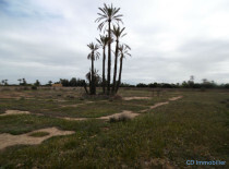 Terrain clos Bab Atlas