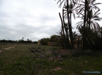 Terrain clos Bab Atlas