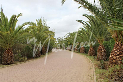 Villa de Quatre chambres dans un domaine